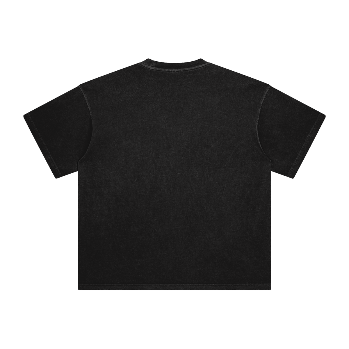 Issachar Enzyme Washed T-Shirt